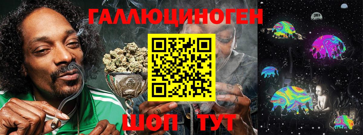 Псилоцибиновые грибы Psilocybine cubensis Новочебоксарск