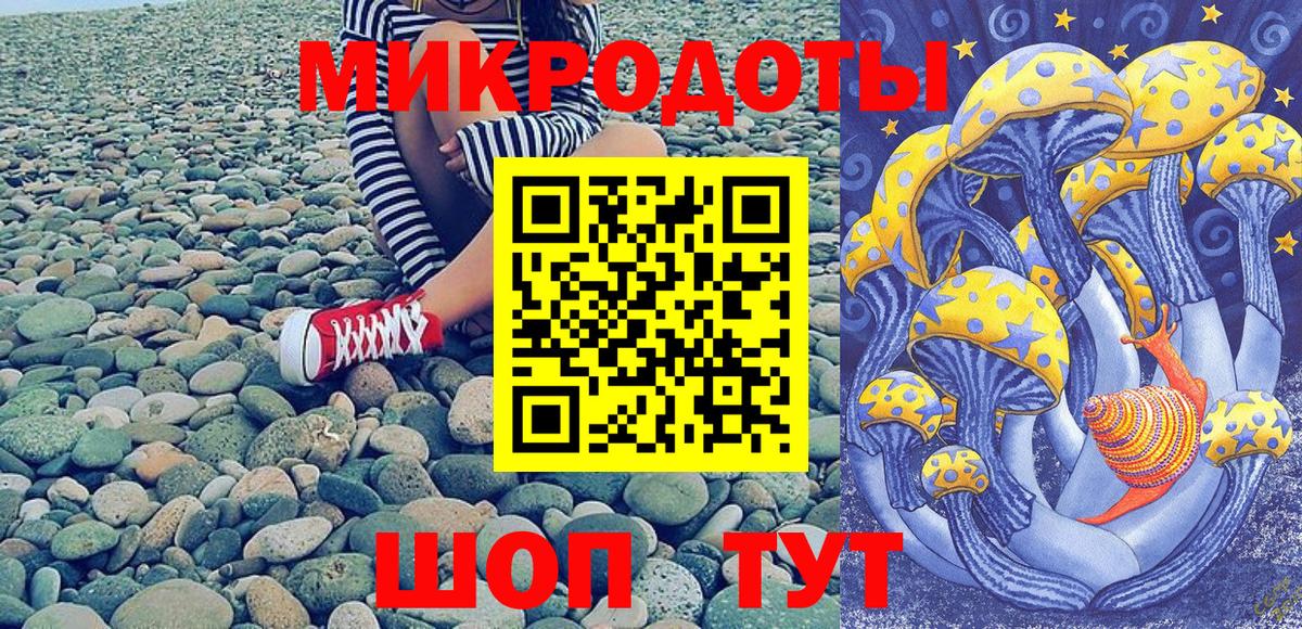 Псилоцибиновые грибы MAGIC MUSHROOMS  Псилоцибиновые грибы Psilocybine cubensis  Вход с VPN  где купить наркоту  Новочебоксарск 